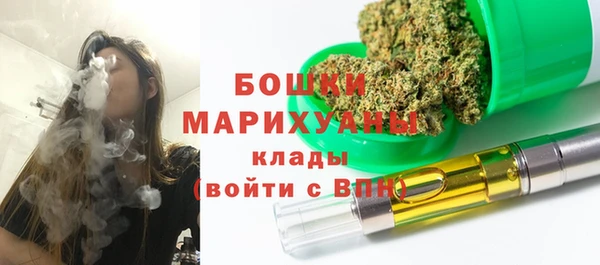 спиды Богородск
