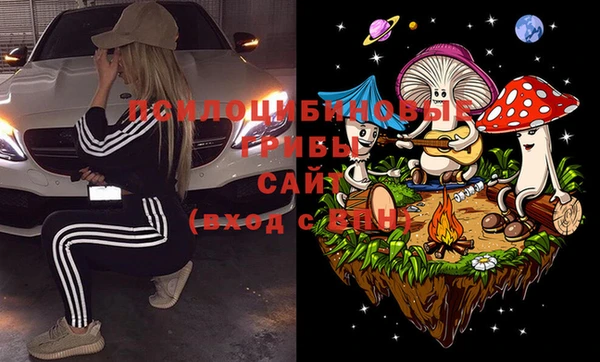 метадон Белокуриха
