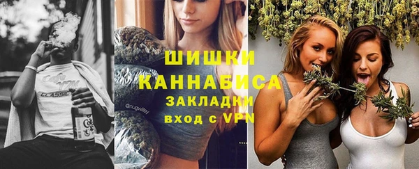 спиды Богородск